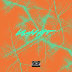 Cover of WHAT