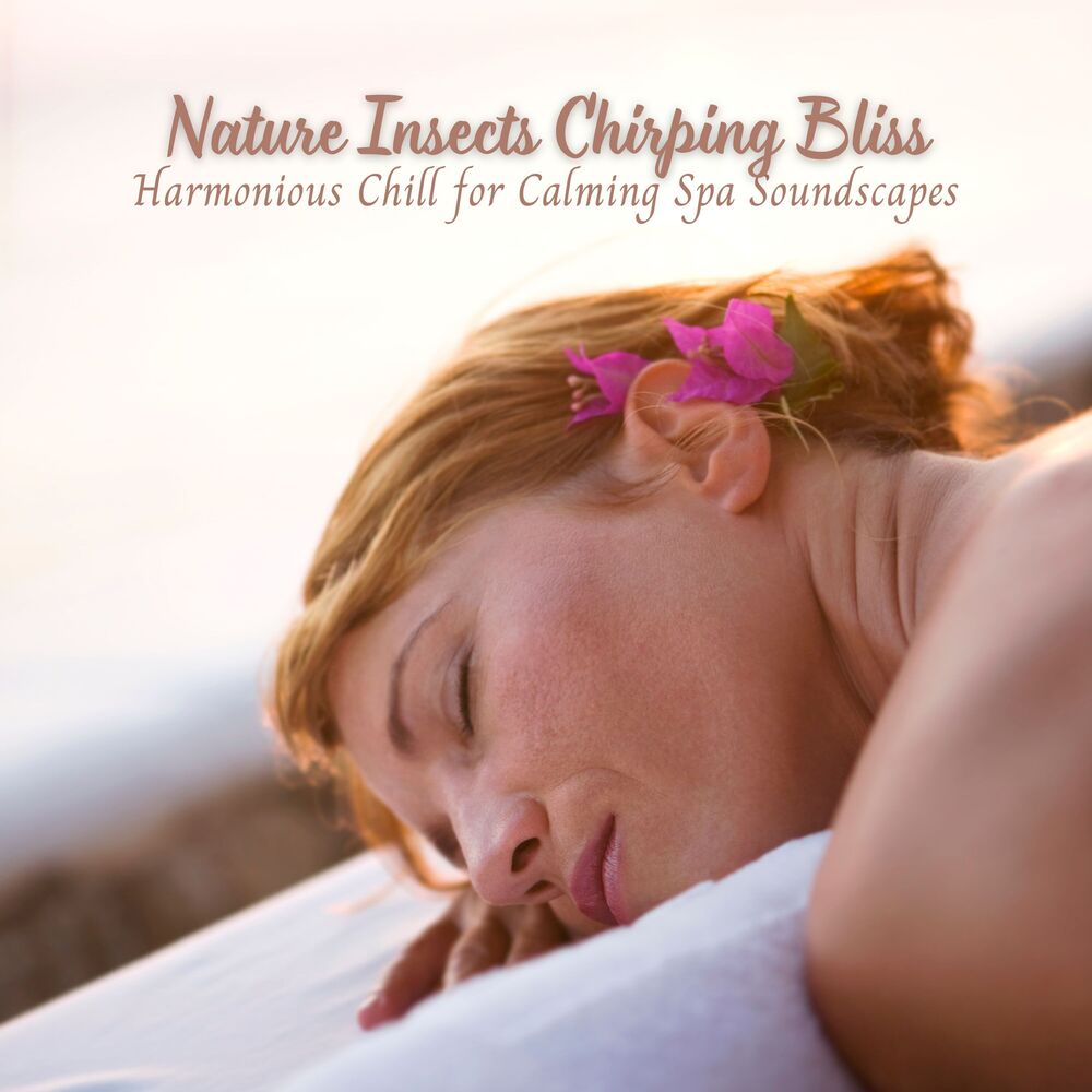 Picture of Nature Insects Chirping Bliss: Harmonious Chill for Calming Spa Soundscapes