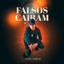 Cover of Falsos Caíram