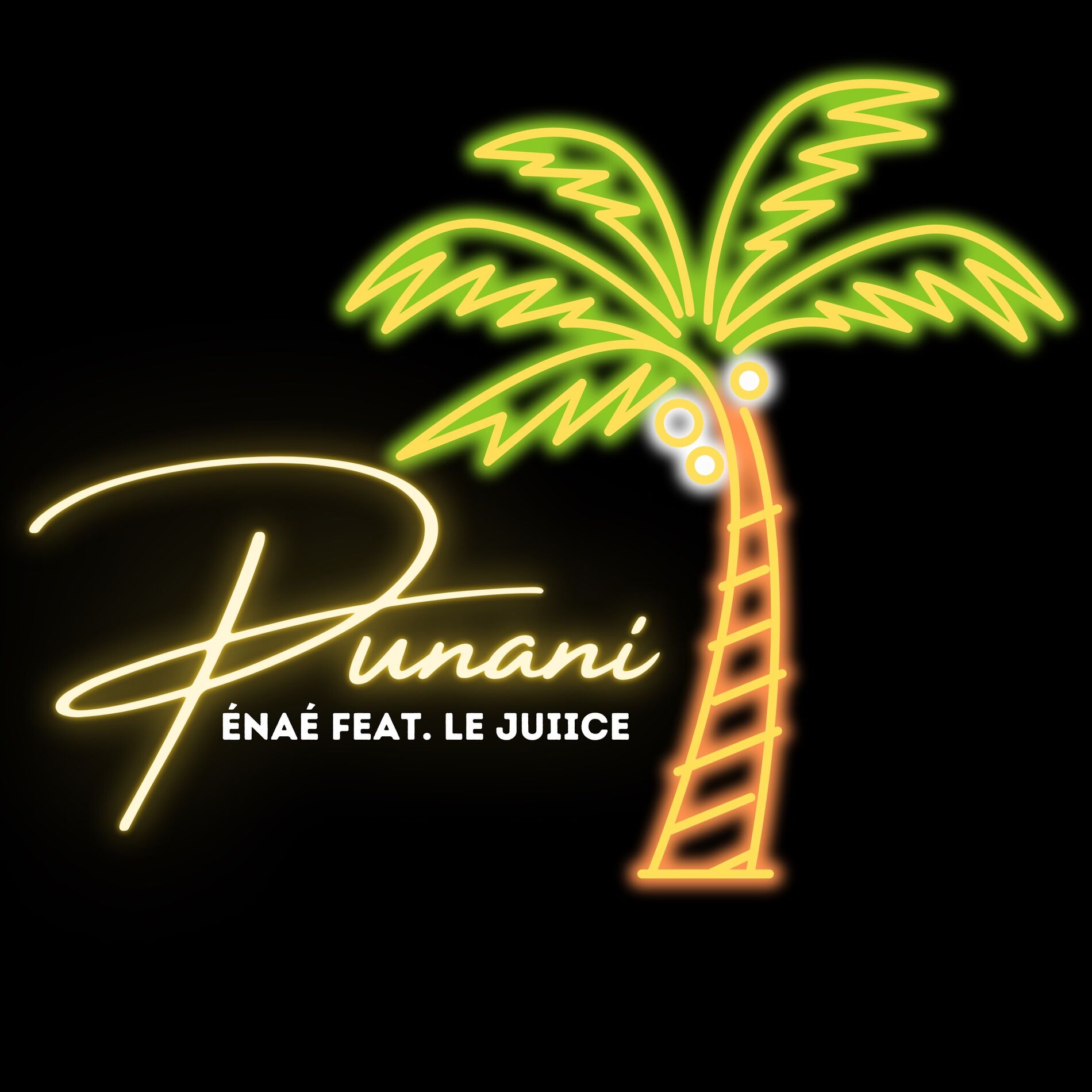 Album cover of PUNANI
