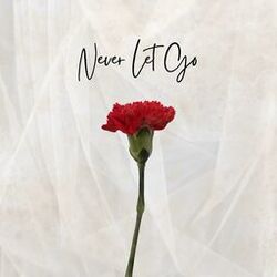 Cover of Never Let Go (Acoustic)
