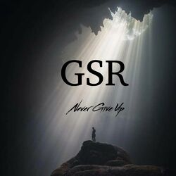 Cover of Never Give Up