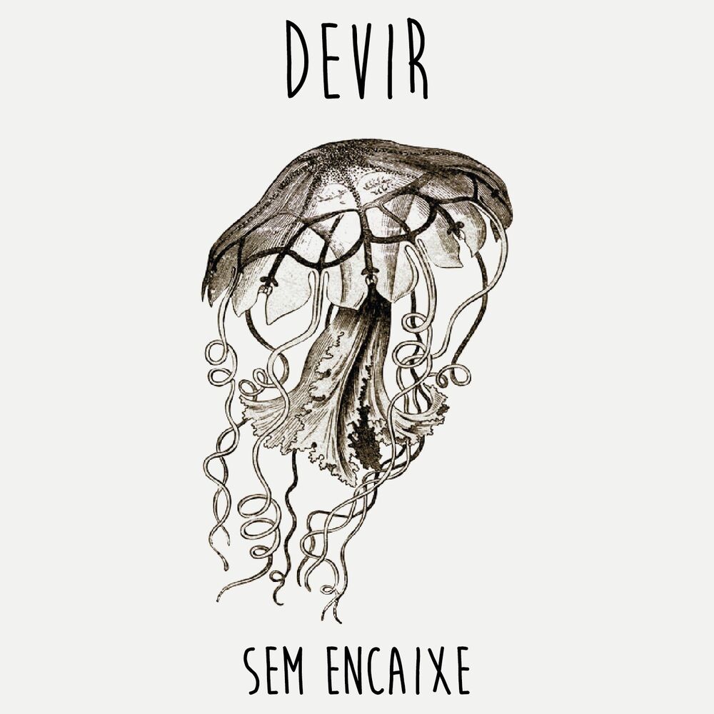 Picture of Sem Encaixe