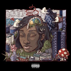 Cover of Stillness in Wonderland