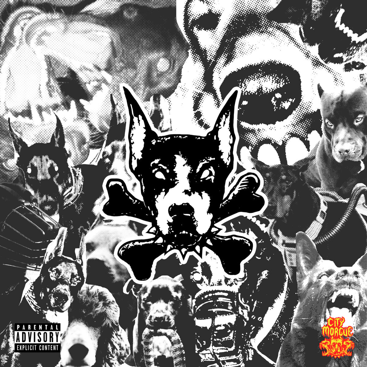 Album cover of DAWG
