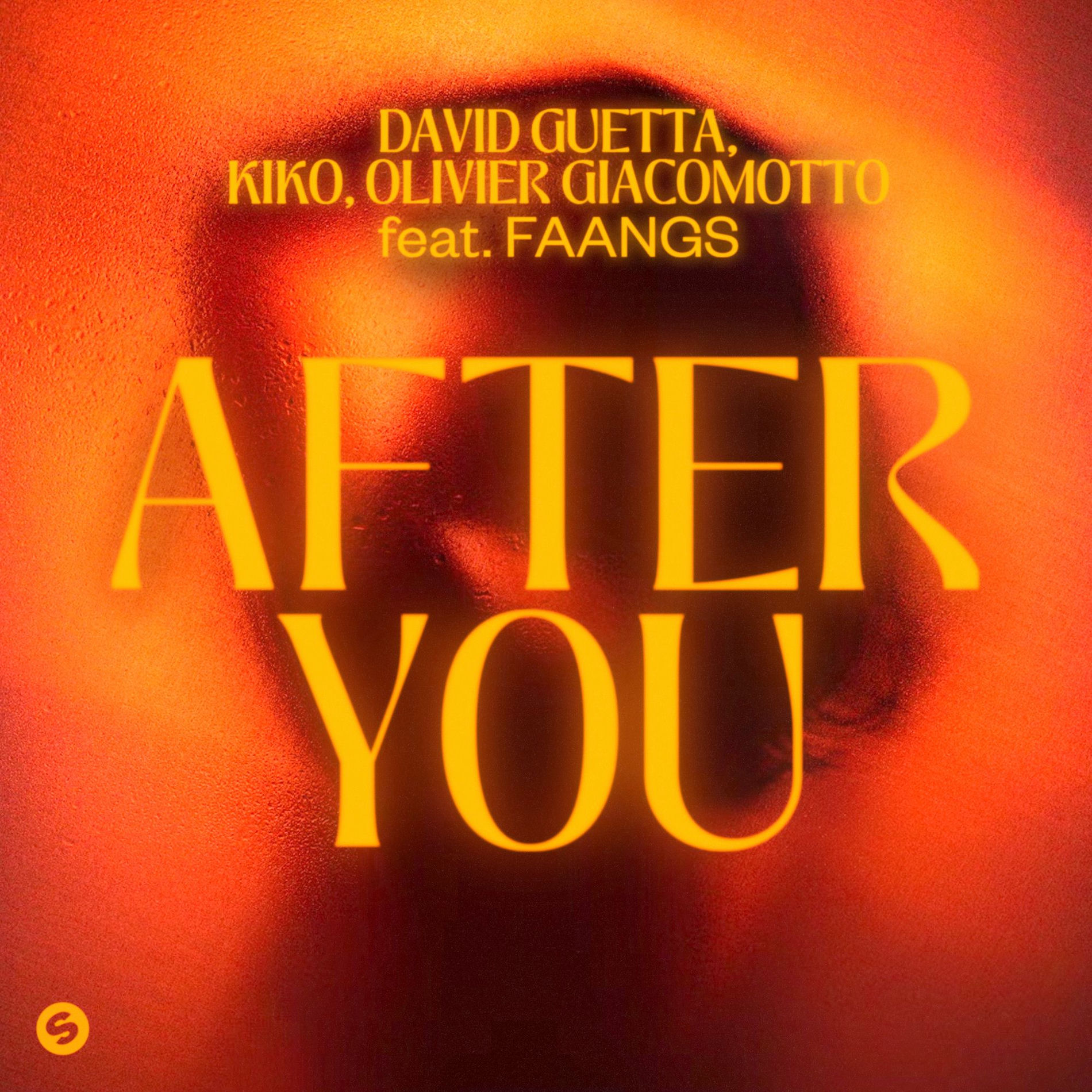 Album cover of After You (feat. FAANGS)
