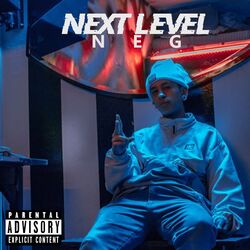 Cover of Next Level