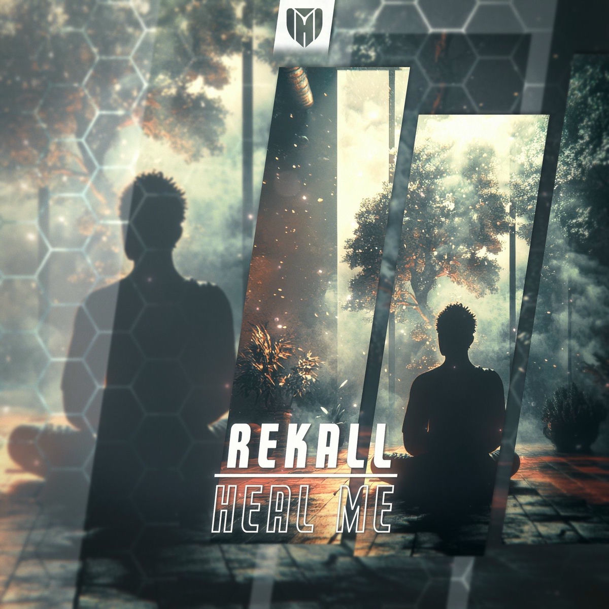 Album cover of Heal Me