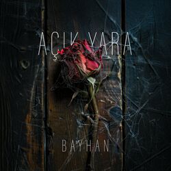 Cover of Açık Yara