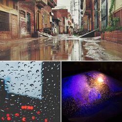 Cover of Feelings for Cozy Rainy Nights
