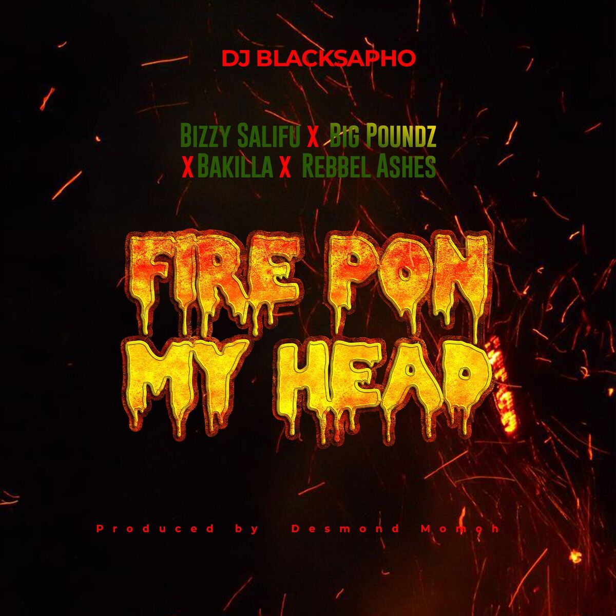 Album cover of Fire pon my head