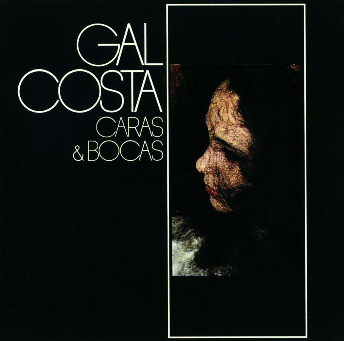 Album cover of Tigresa