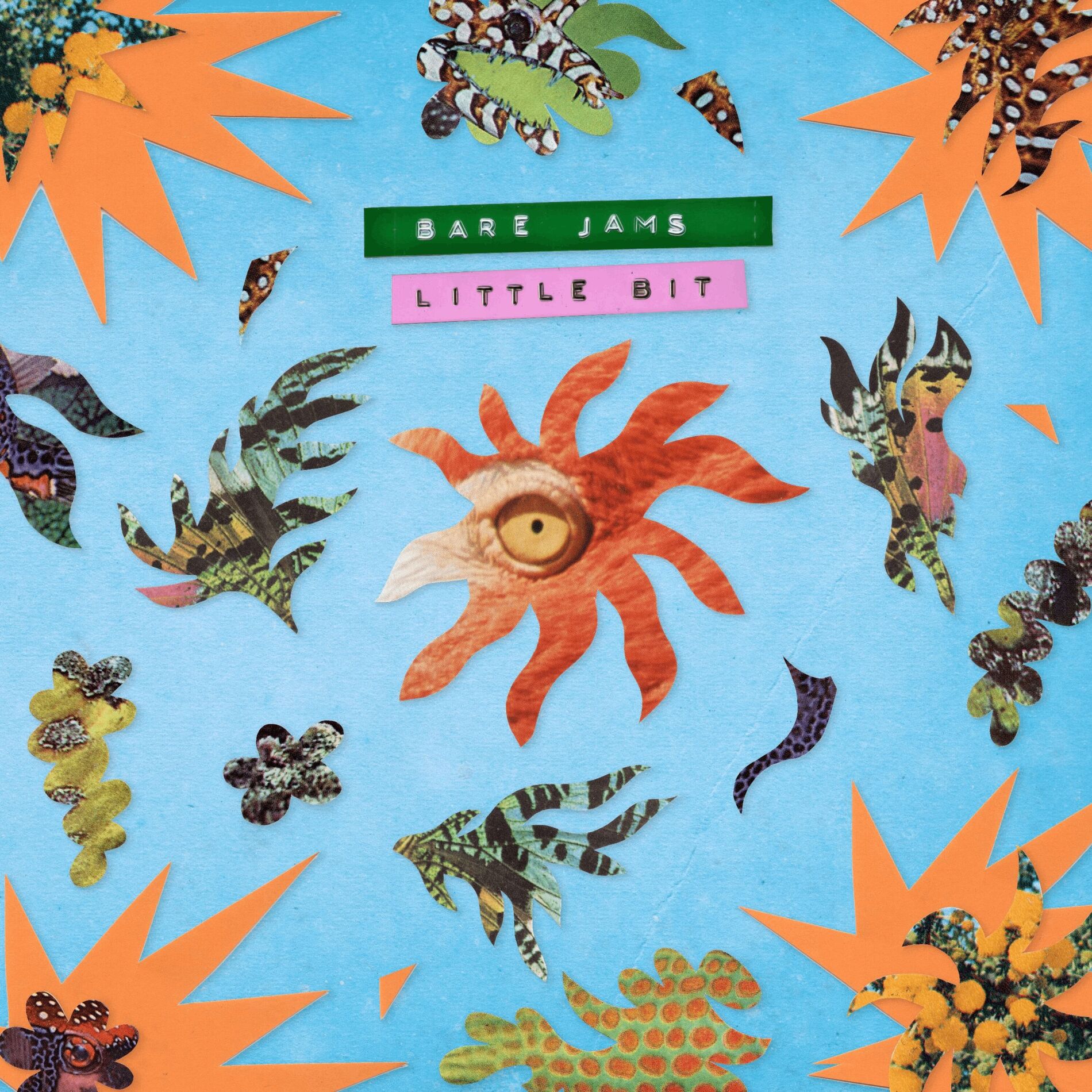 Album cover of Little Bit