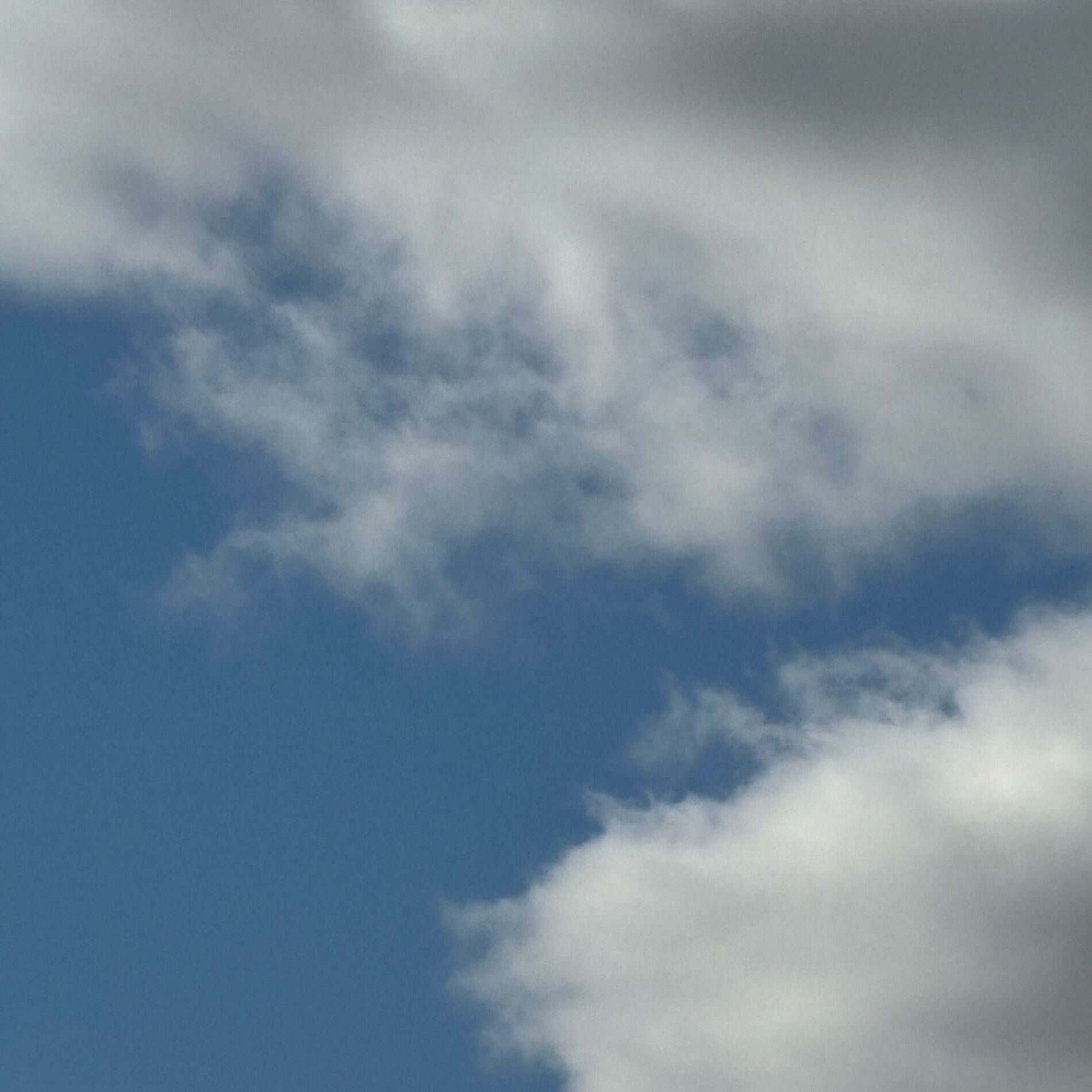 Album cover of Baby Blue