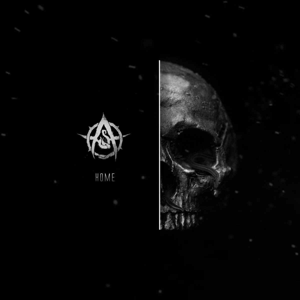 Album cover of Home
