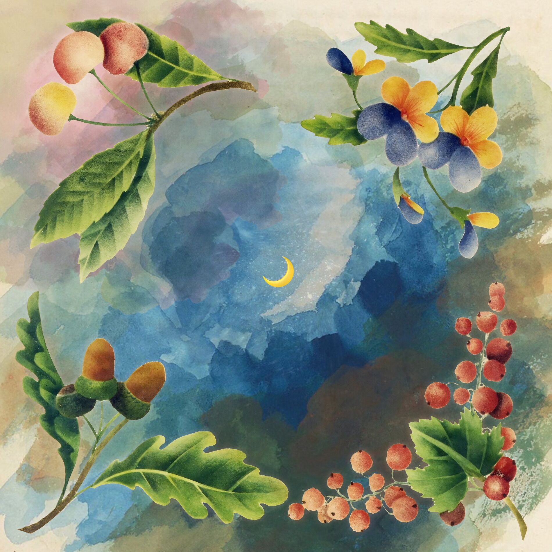 Album cover of Midnight Tangerine
