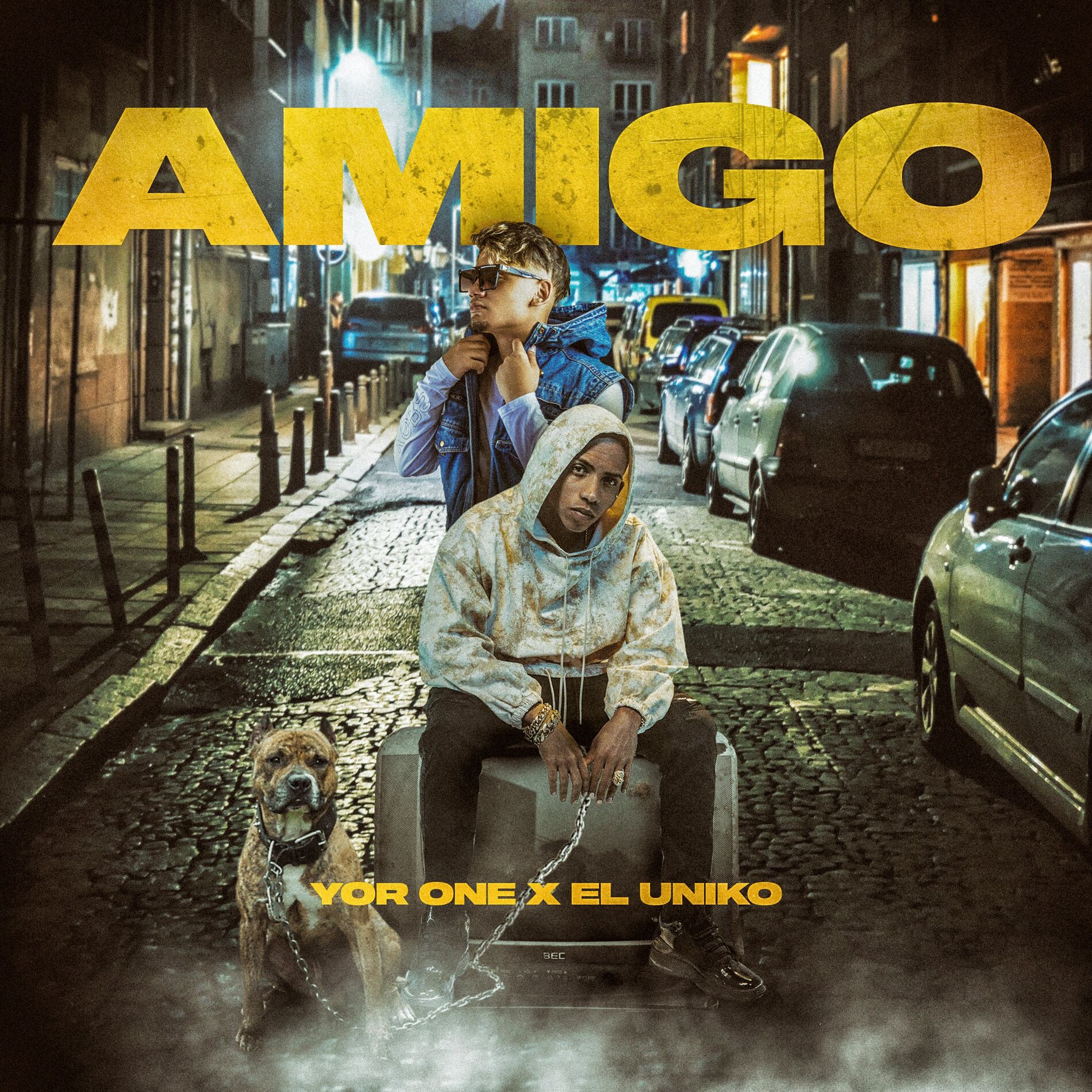 Album cover of Amigo