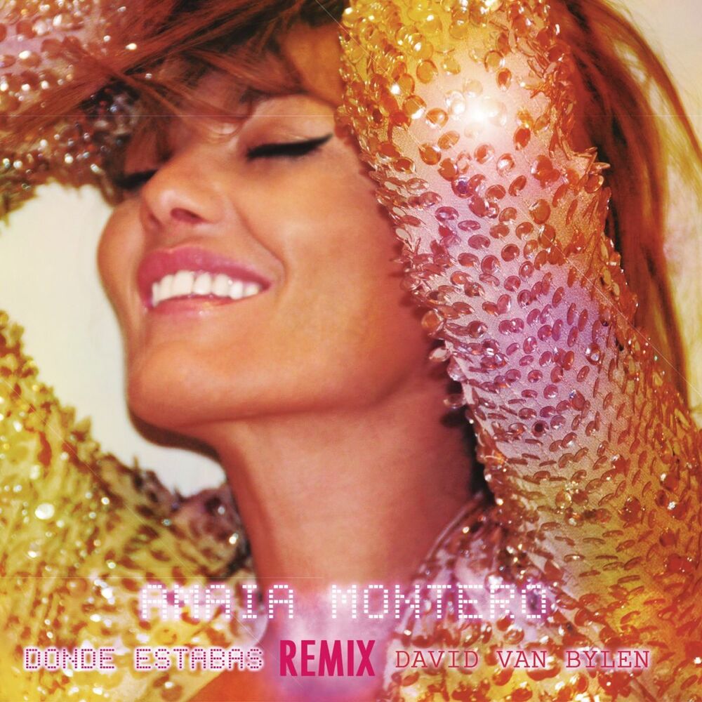 Picture of Donde Estabas (David Van Bylen Remix)