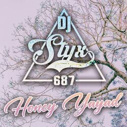 Cover of Honey Yayad