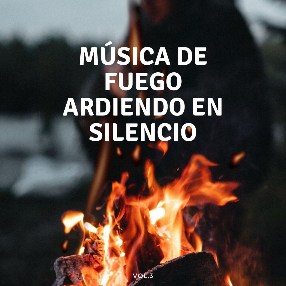 Picture of Música De Fuego Ardiendo En Silencio Vol. 3