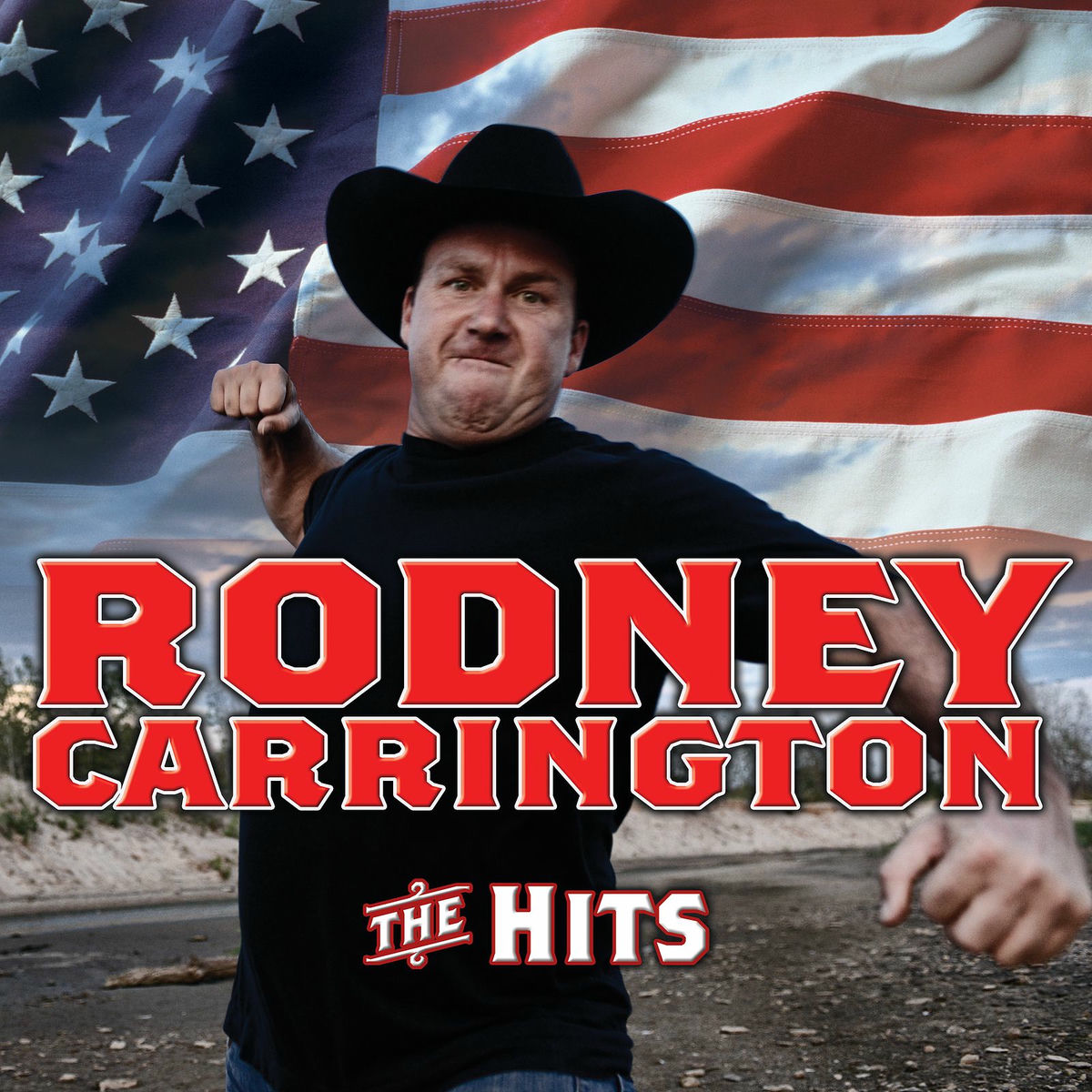 Album cover of The Hits