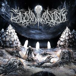 Cover of Routamaa