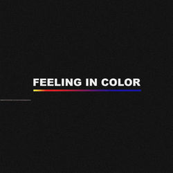 Cover of Feeling in Color
