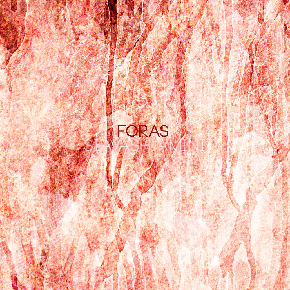 Picture of FORAS