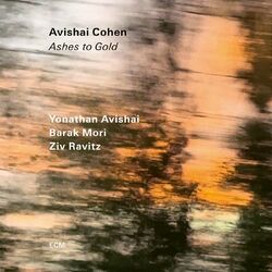 Cover of Ashes to Gold