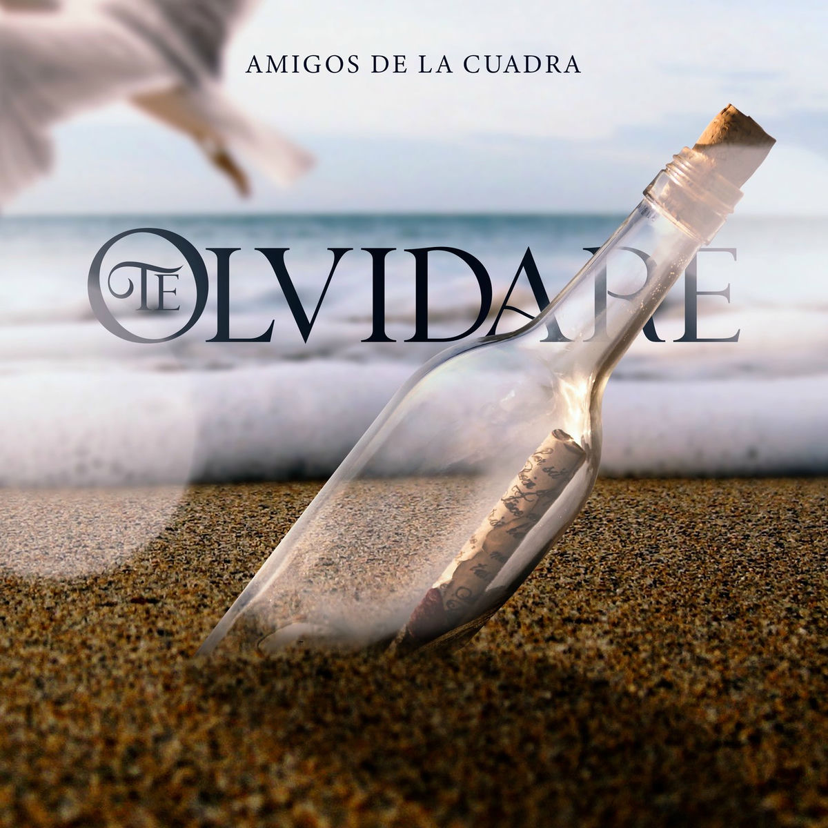 Album cover of Te Olvidare