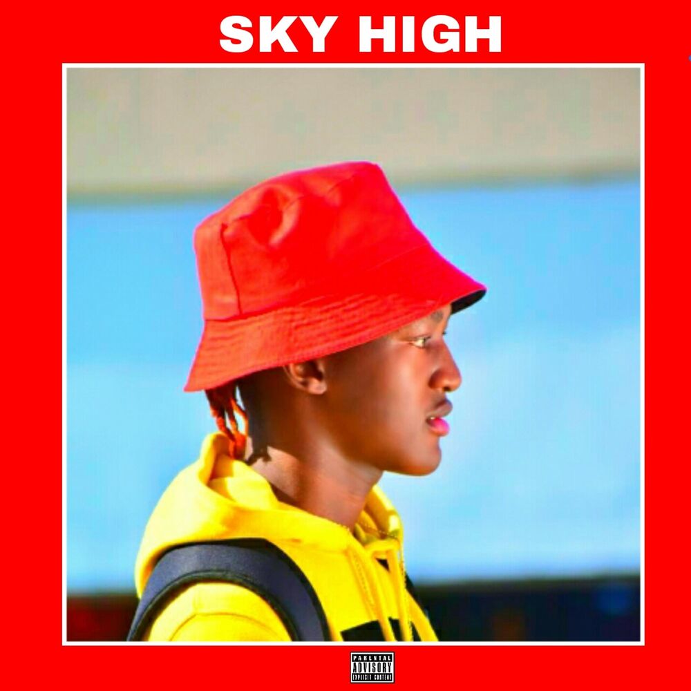 Picture of Sky High (feat. Doc Sheyz & Lyan)