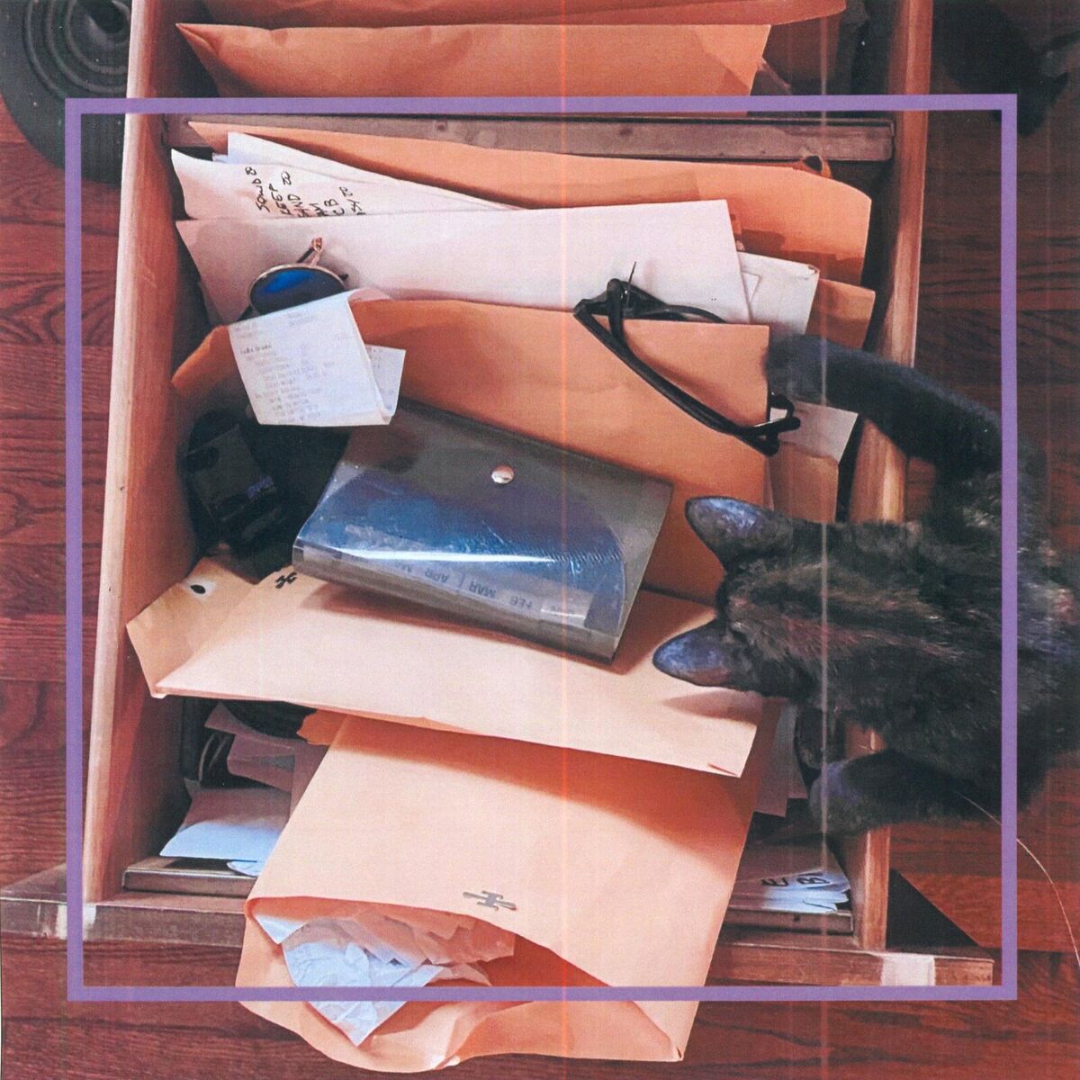 Album cover of It's Confidential