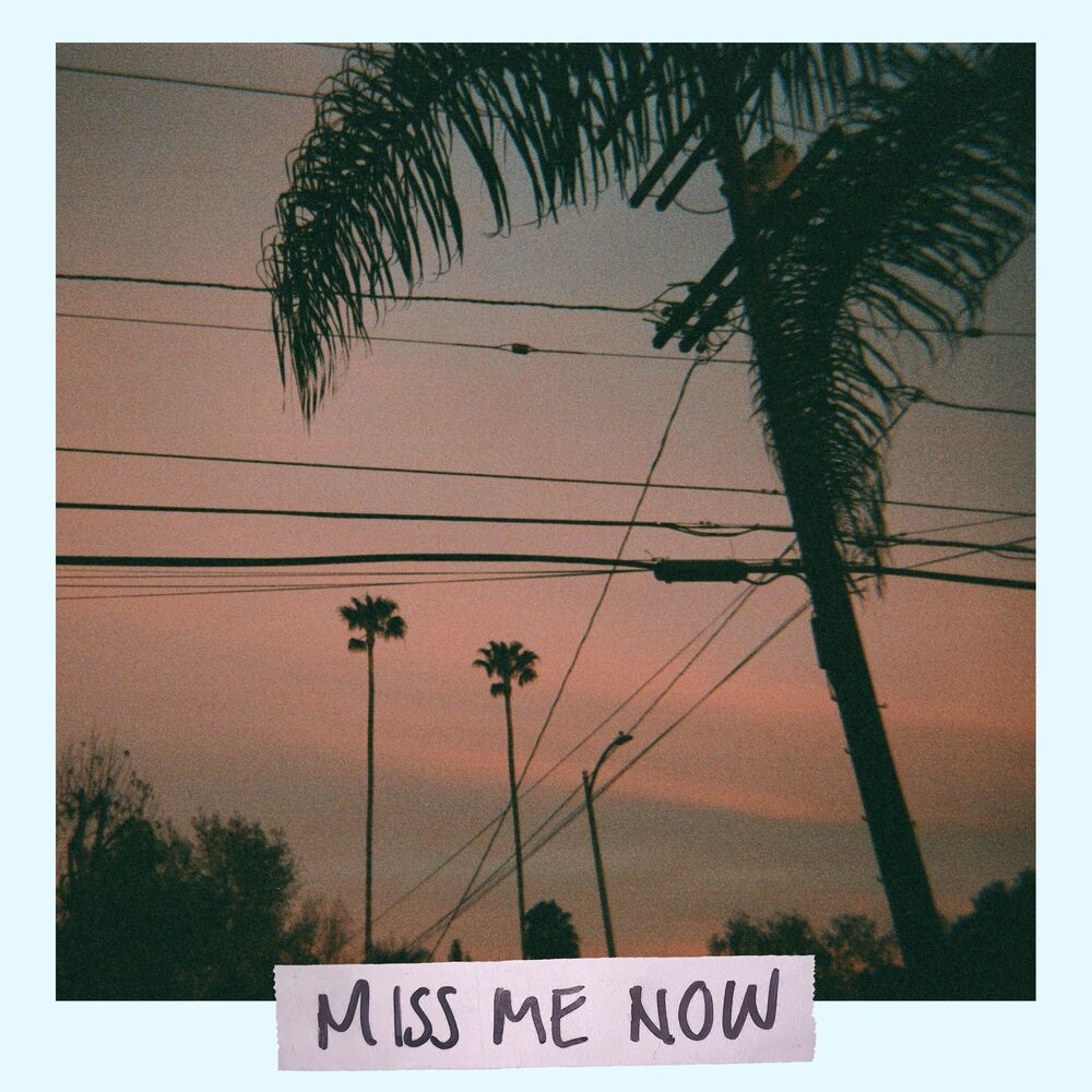 Picture of Miss Me Now