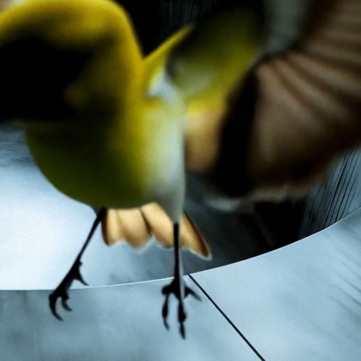 Album cover of Unplanned