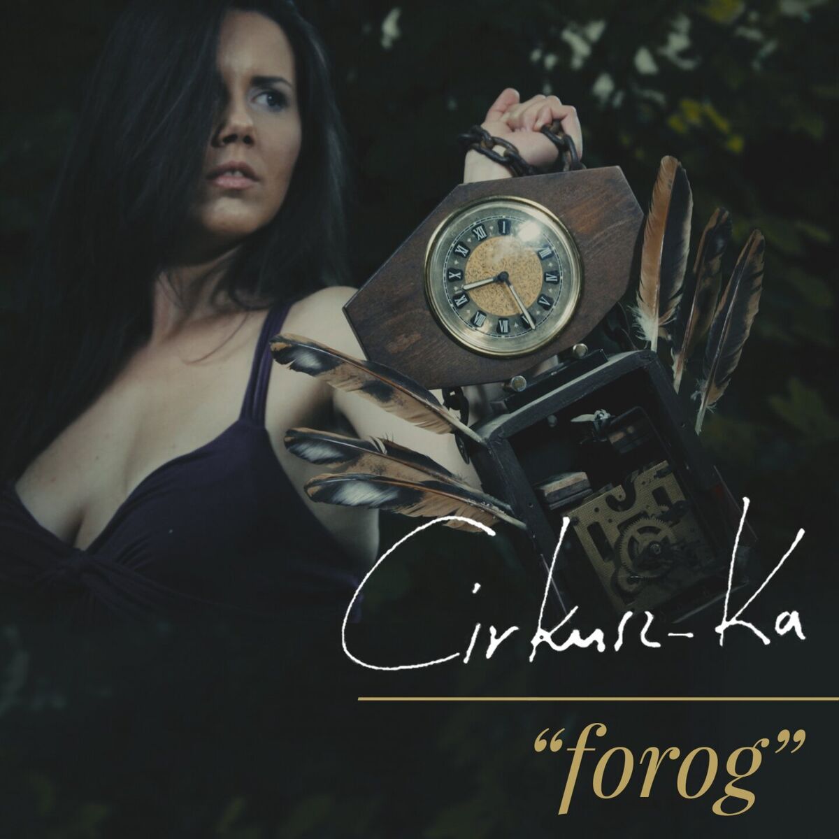Album cover of Forog