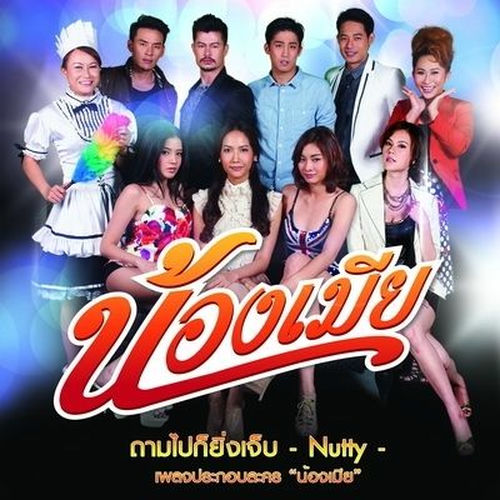 ถามไปก็ยิ่งเจ็บ (เพลงประกอบละครน้องเมีย)