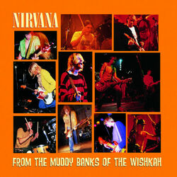 From The Muddy Banks Of The Wishkah (Live)