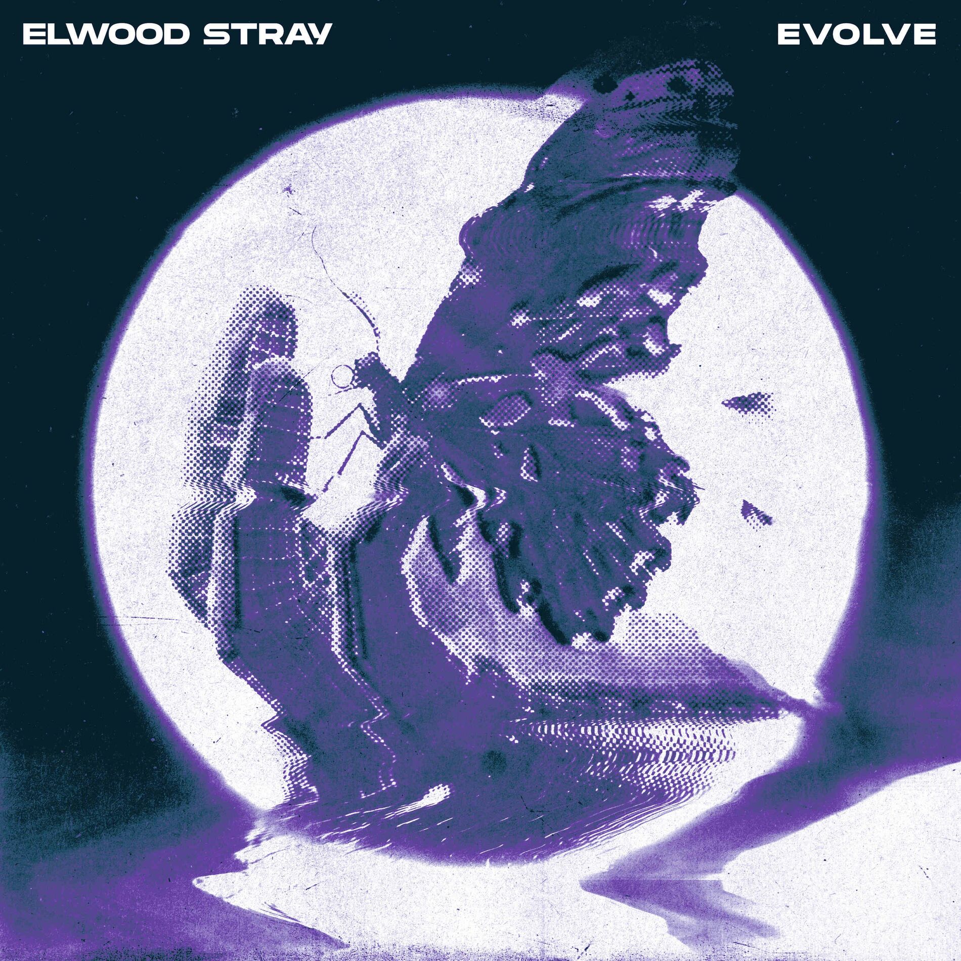 Album cover of Evolve
