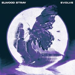 Cover of Evolve
