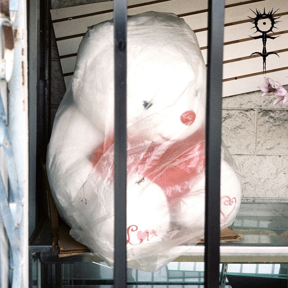 Picture of S.W.I.M.