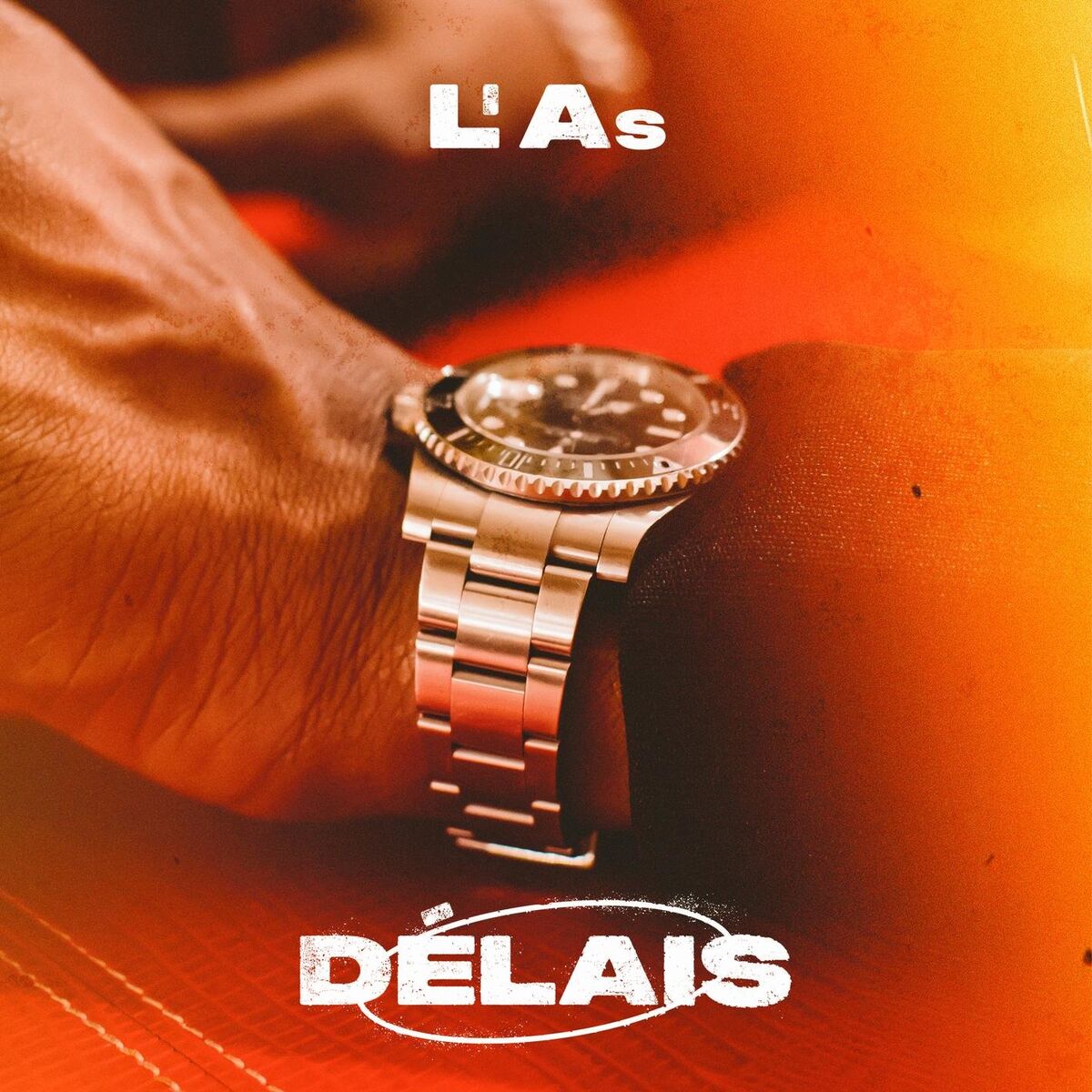 Album cover of DÉLAIS