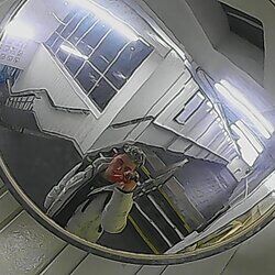 Cover of Reflection