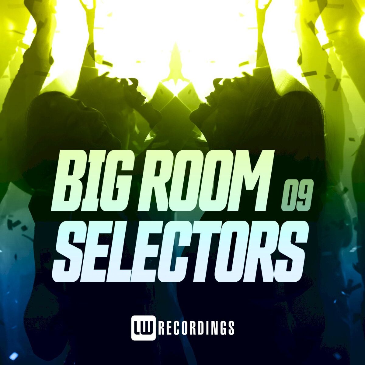 Album cover of Big Room Selectors, 09