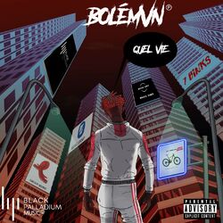 Cover of Quel vie