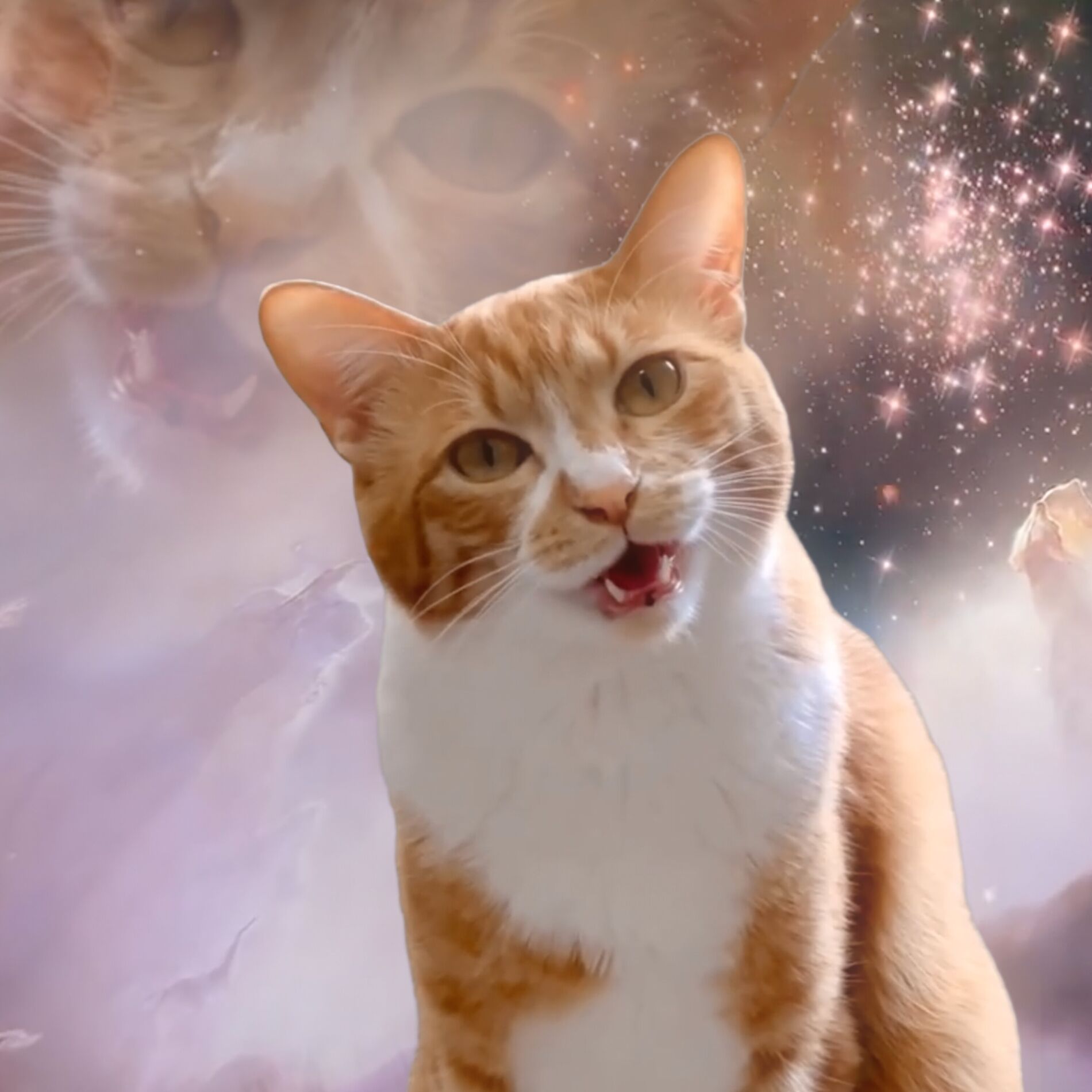Album cover of Ha Hee