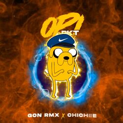 Cover of Opi RKT