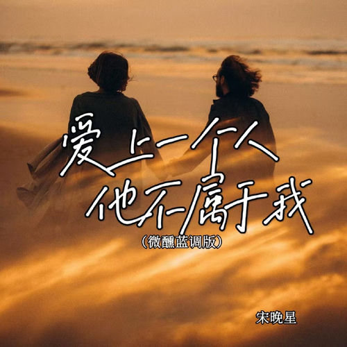爱上一个人他不属于我(微醺蓝调版)