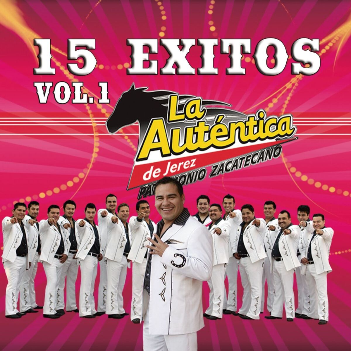Album cover of 15 Exitos Vol. 1