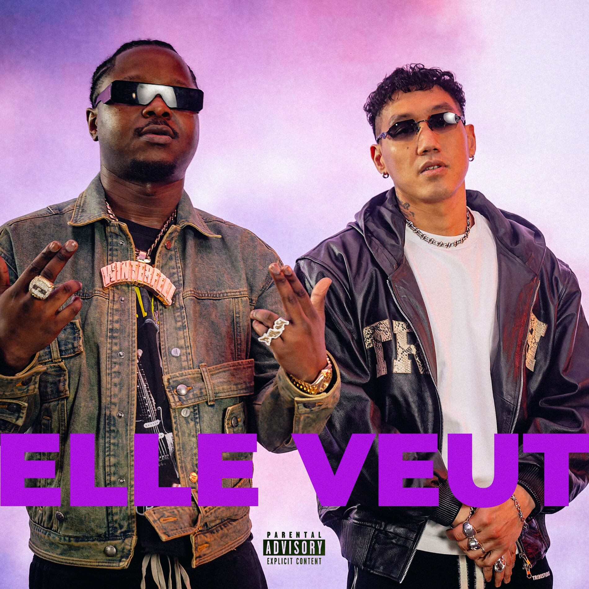 Album cover of Elle veut