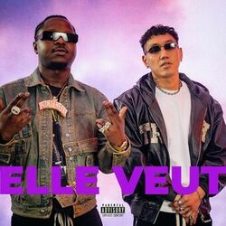 Cover of Elle veut
